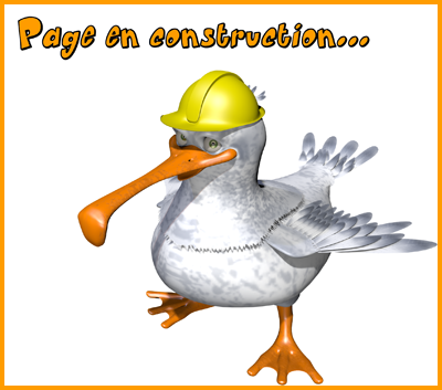 page en construction